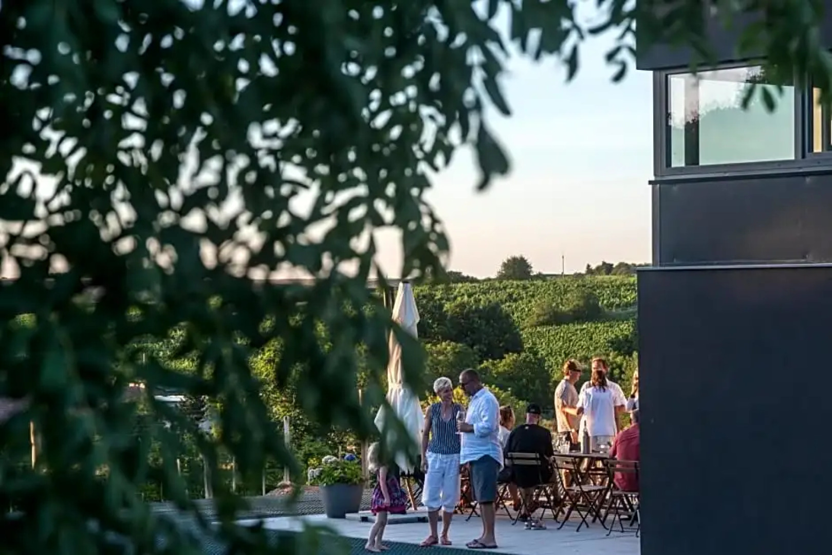 Boutique Hotel Vinarství Škrobák