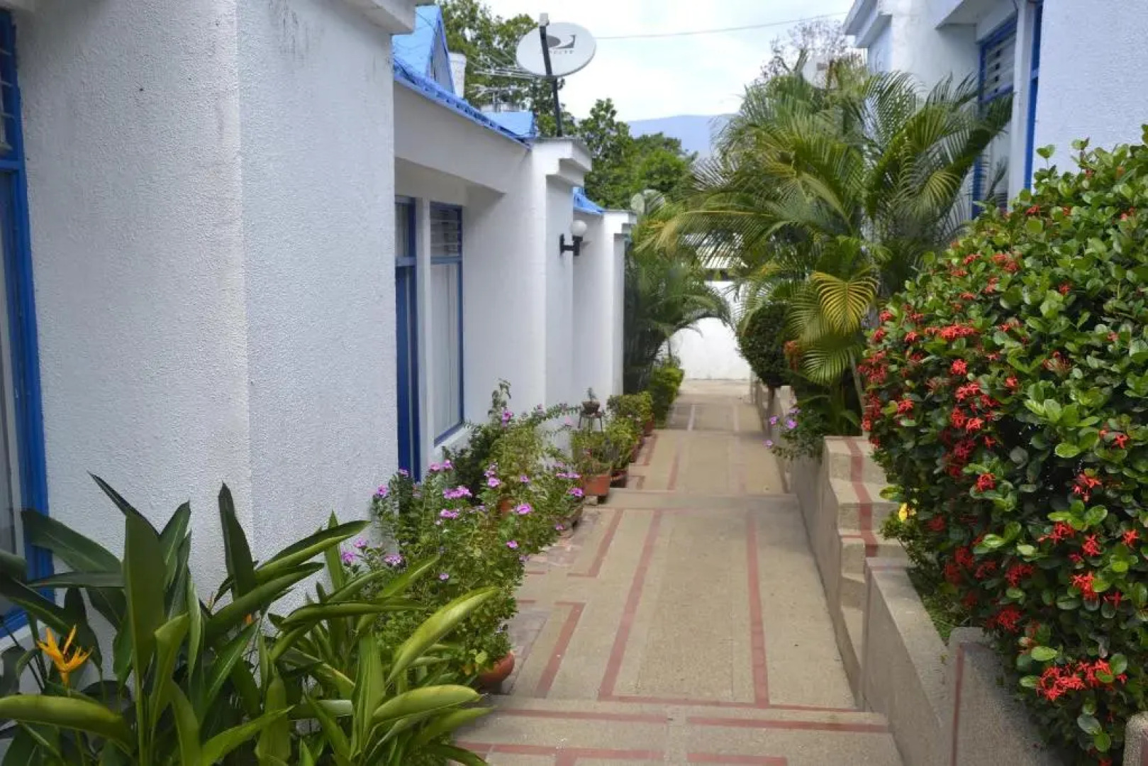 El Camino Los Lanceros