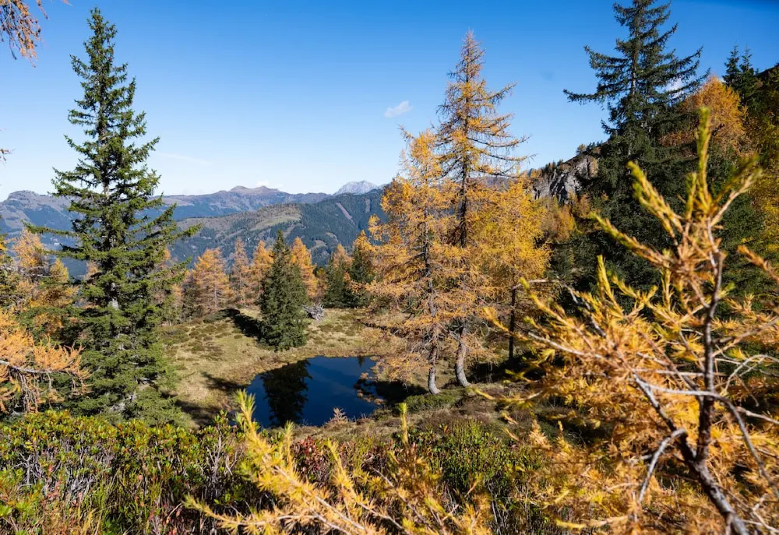 Hotel Gratz Großarl