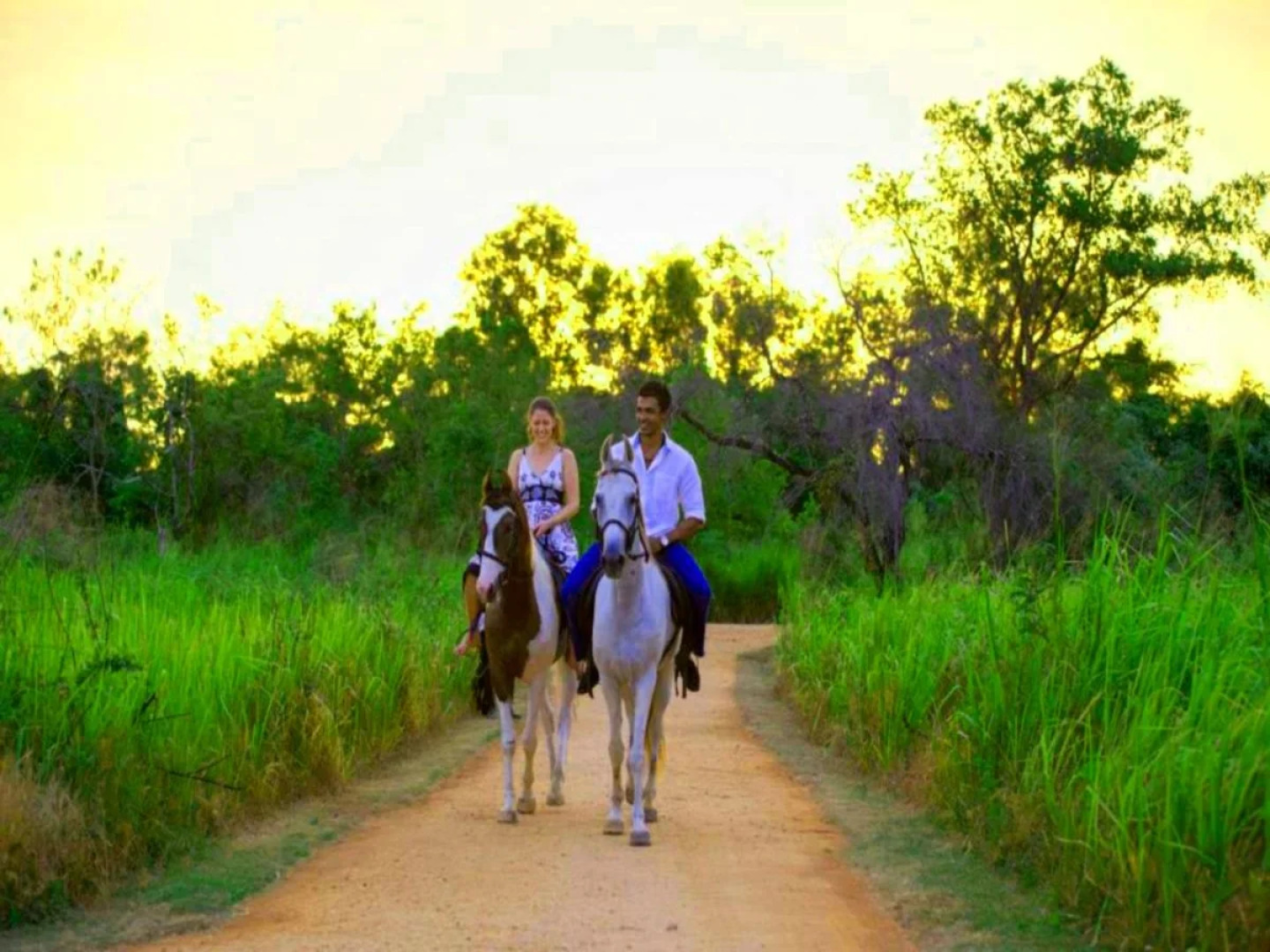 The Elephant Corridor Hotel