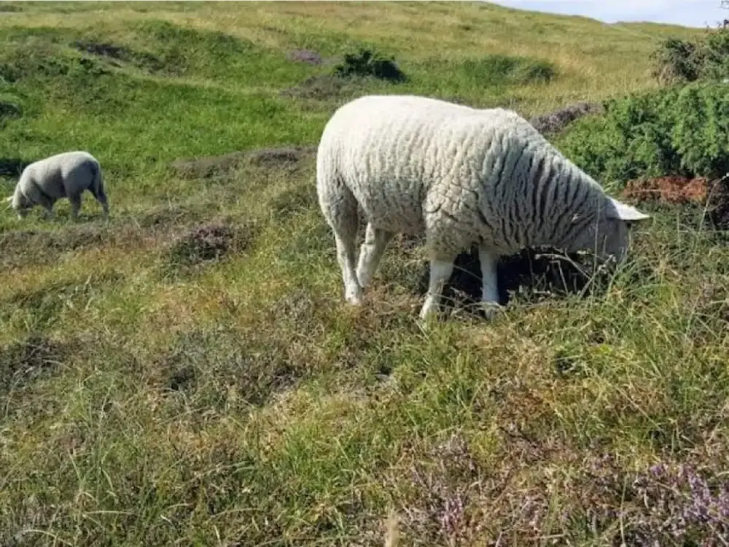 Luxury Villa With Pool - By Traum Ferienwohnungen