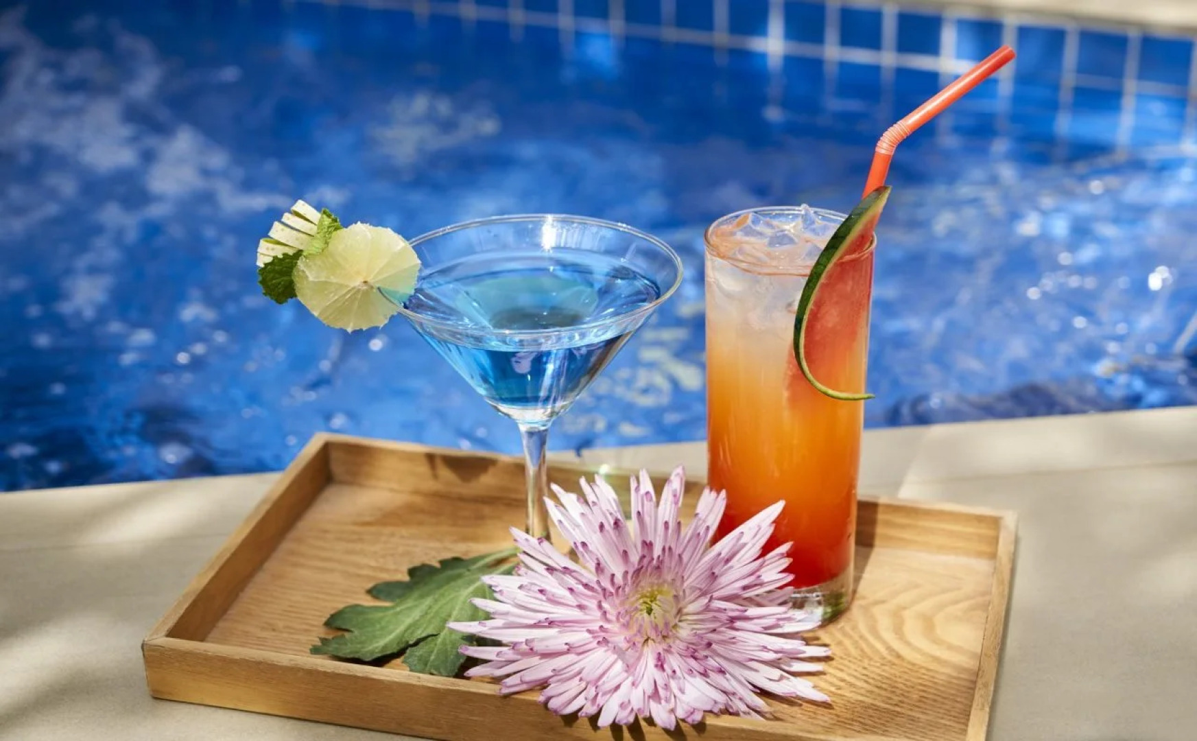 The Wind Resort - Tropical Hillside Escape