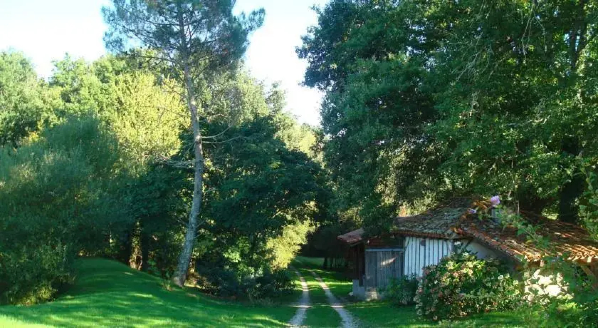 LAirial aux Châtaignes