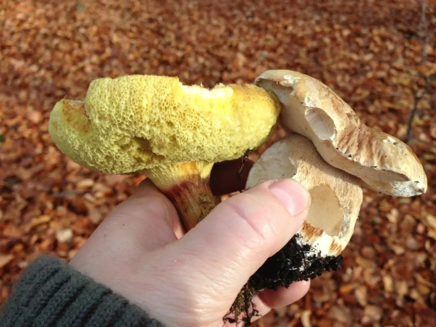 Ferienwohnung Am Eichenberg