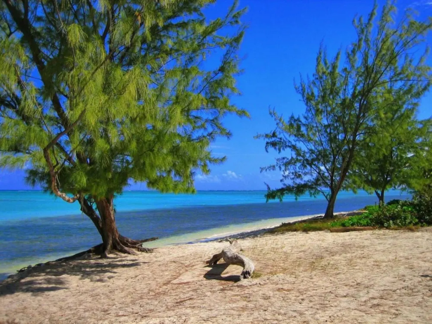 S3 BP Steps to Beach