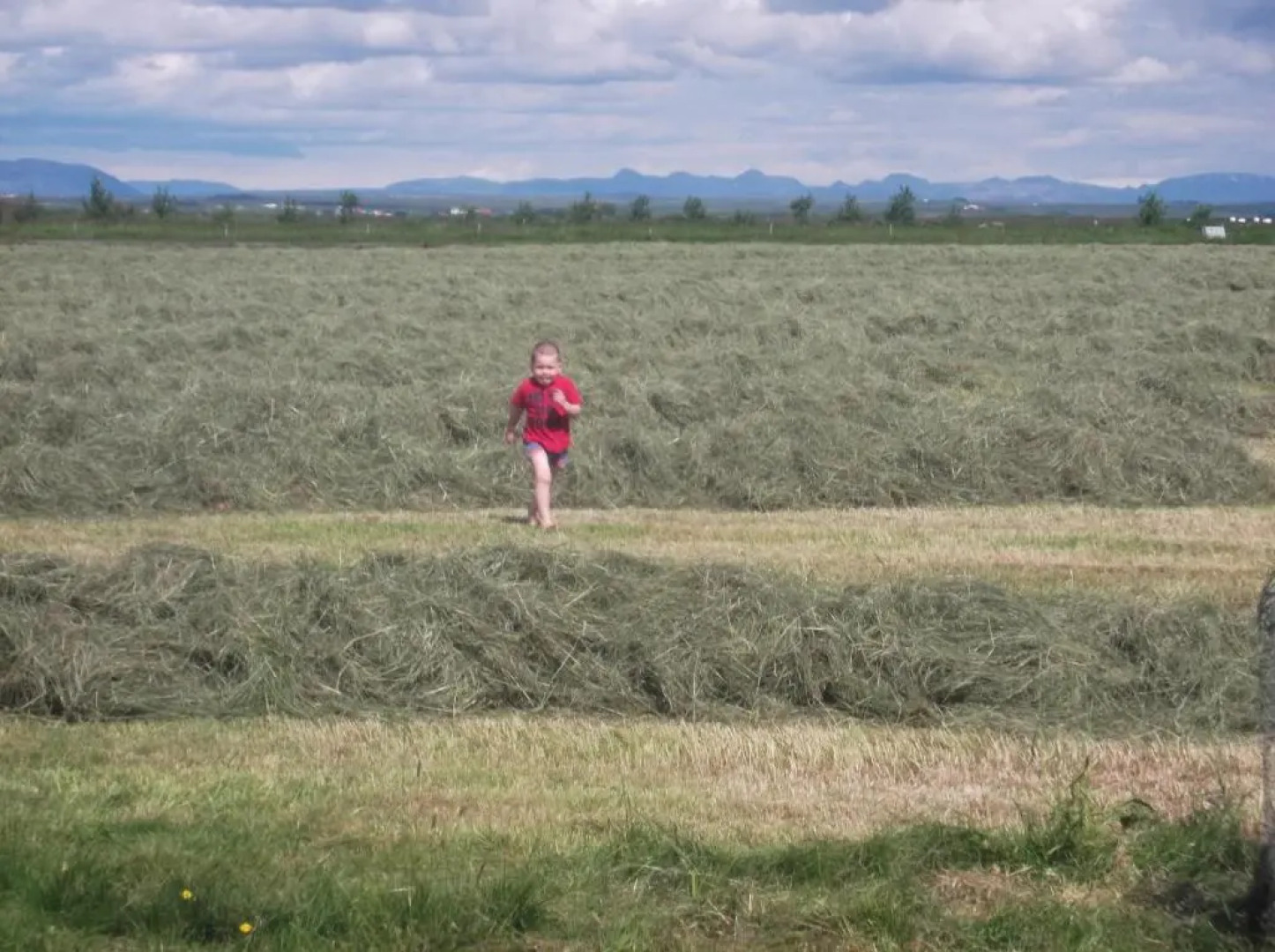 Arabær Holiday Home