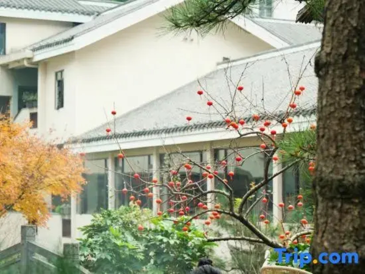 Phoenix Xueqingji Humanity Banshan Homestay (Phoenix Ancient City Branch)