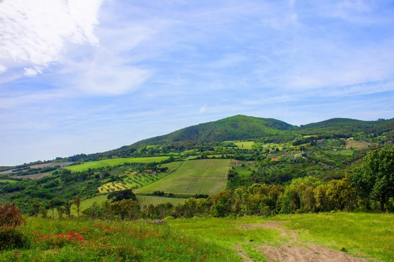 Wonderful Private Villa With Pool in Riparbella