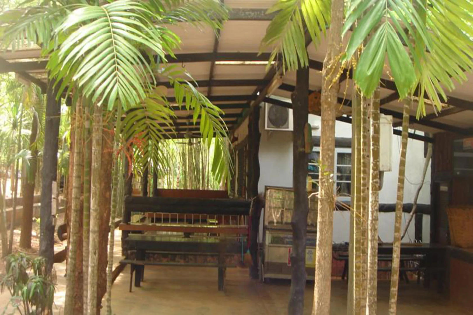 Sam's Jungle Guesthouse