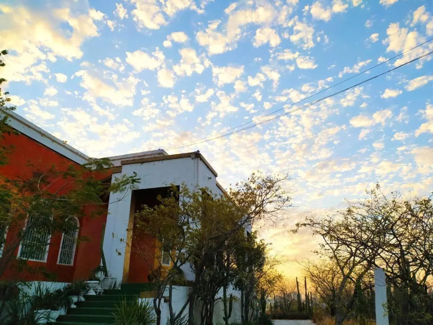 Jardin Etnobotanico Villa Ludovica