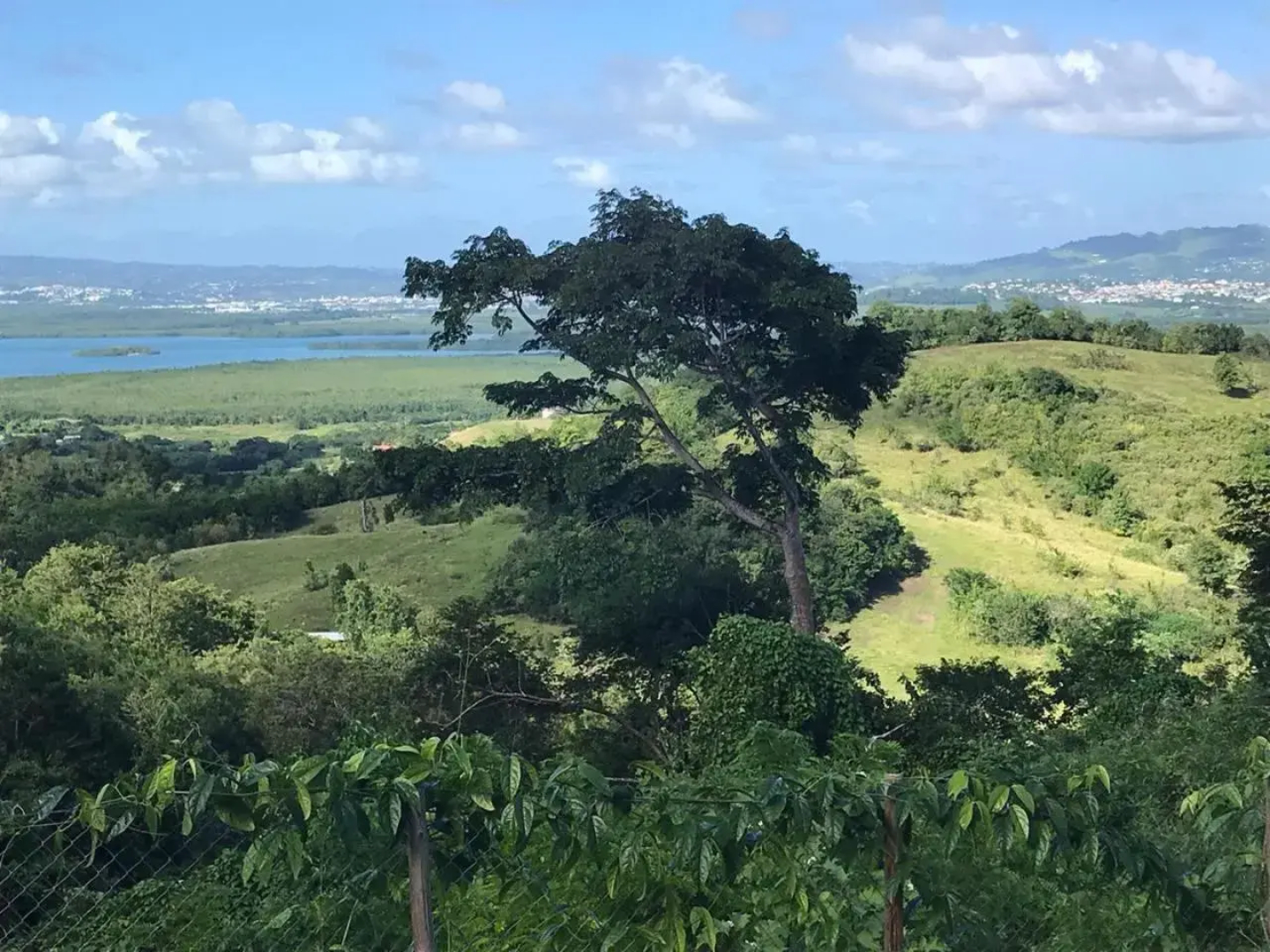 Villa 1 de standing 80m2 avec piscine et vue imprenable sur la mer et sur la campagne