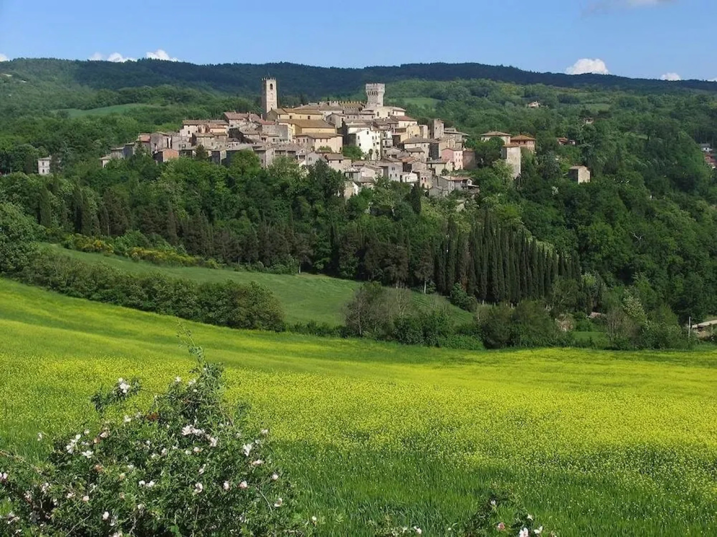 Verdidea - MONTE SANTO & TORRINO