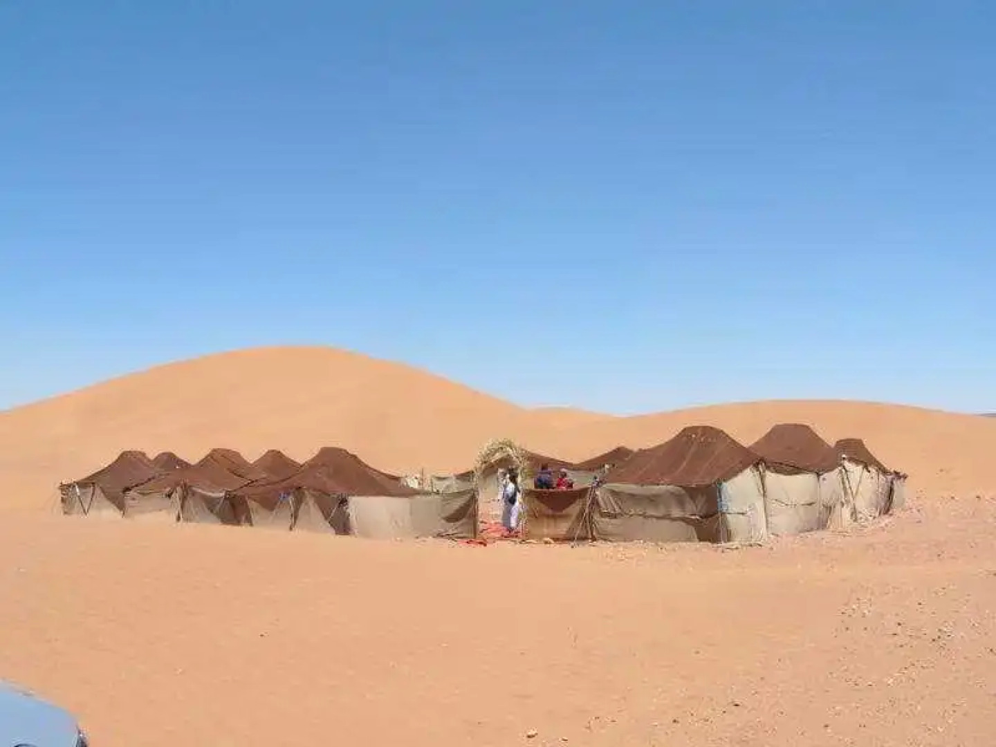 Bivouac M'hamid Le Pacha