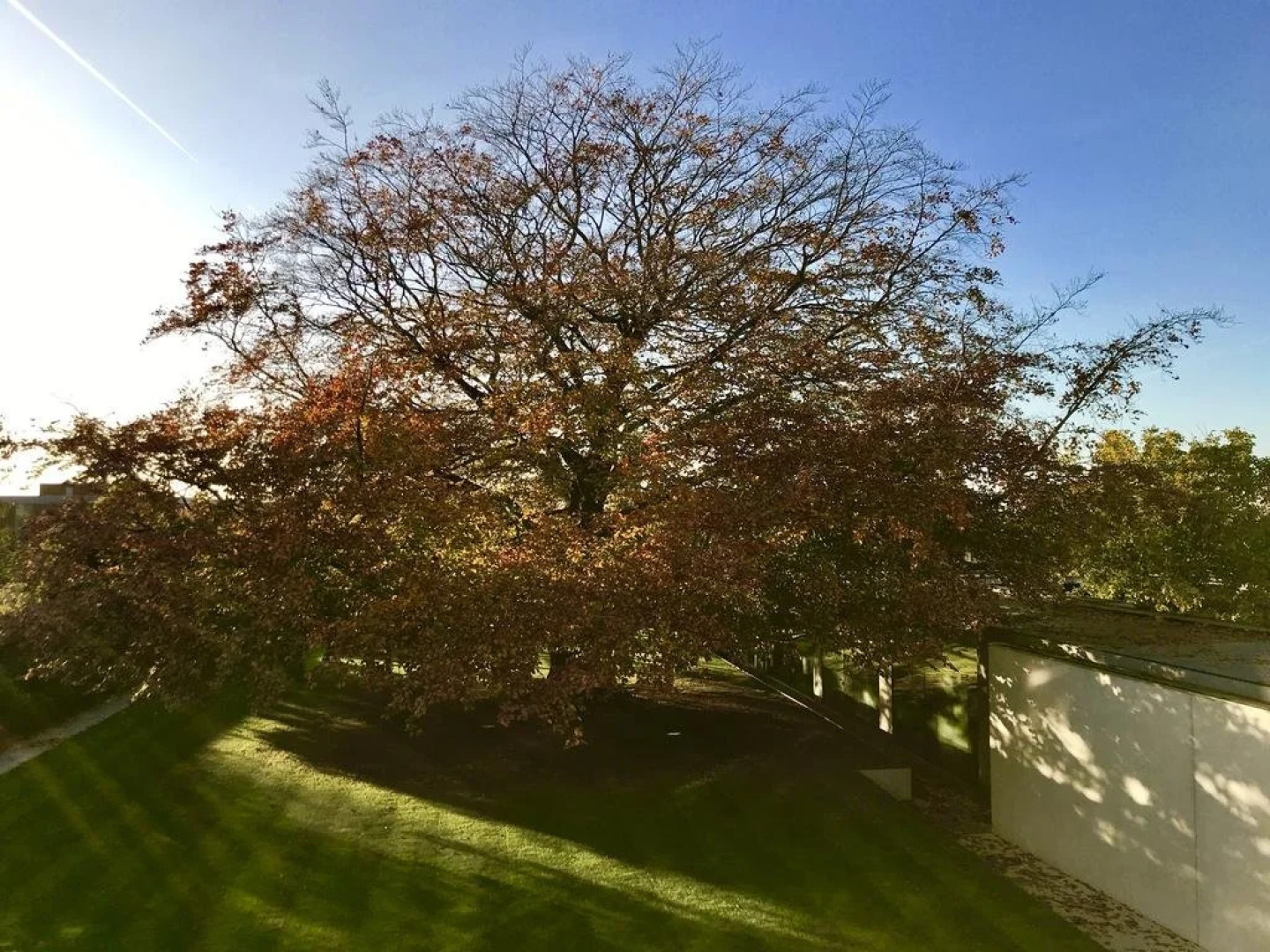 Notarishuys "Pure Hotel"