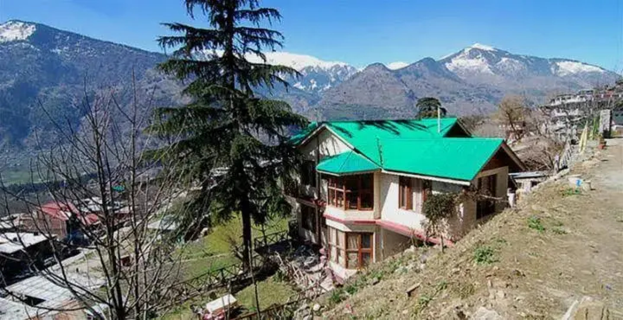 The Pine Palace