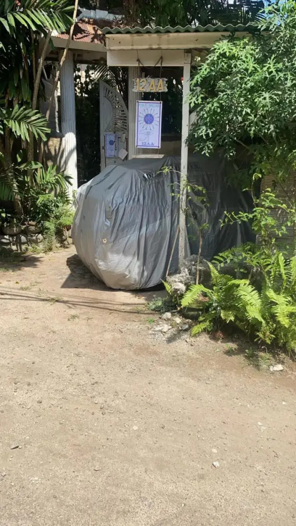 Shady Grove Healing Centre and Homestay