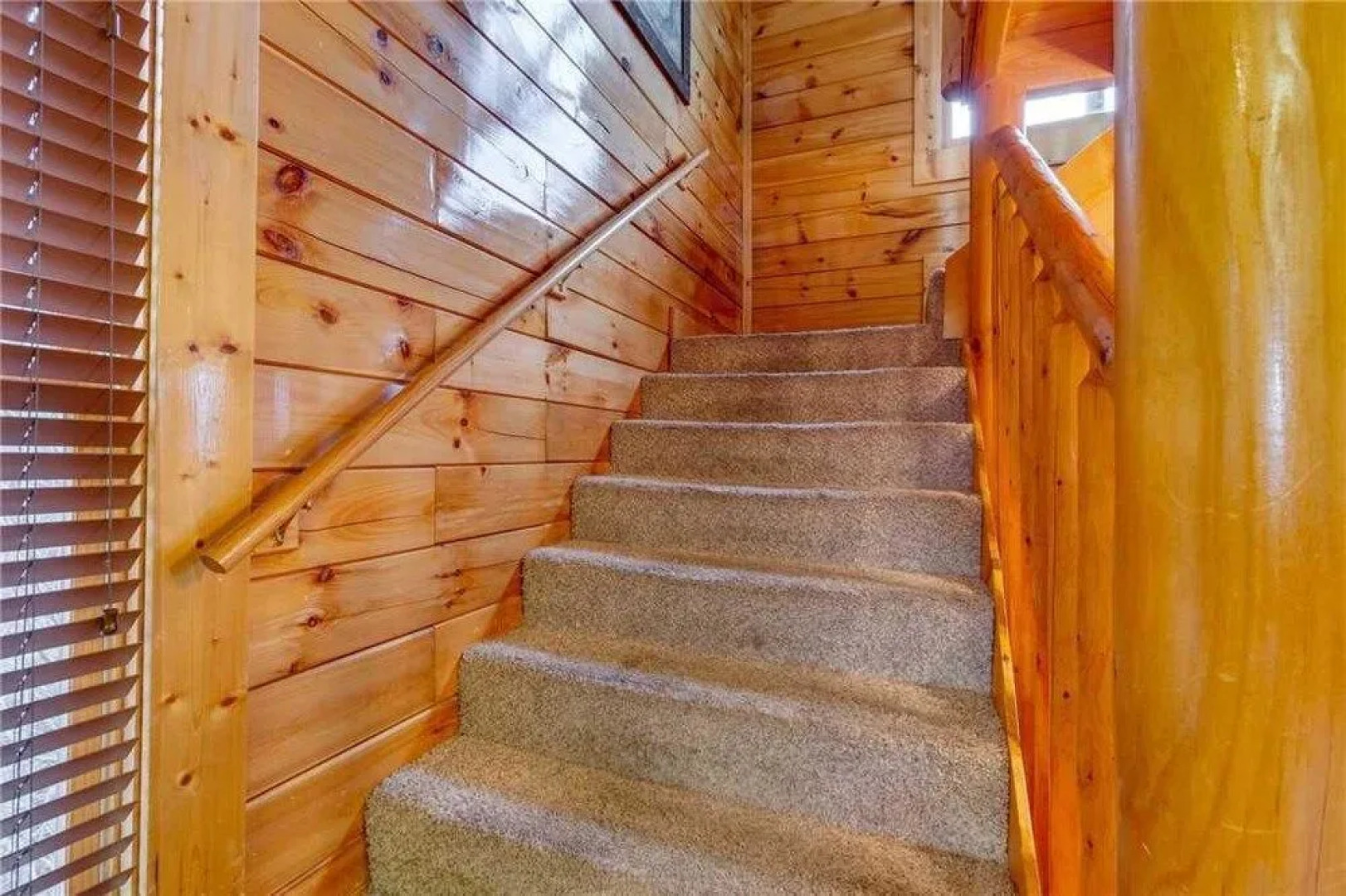 Bearly Believable by RedAwning