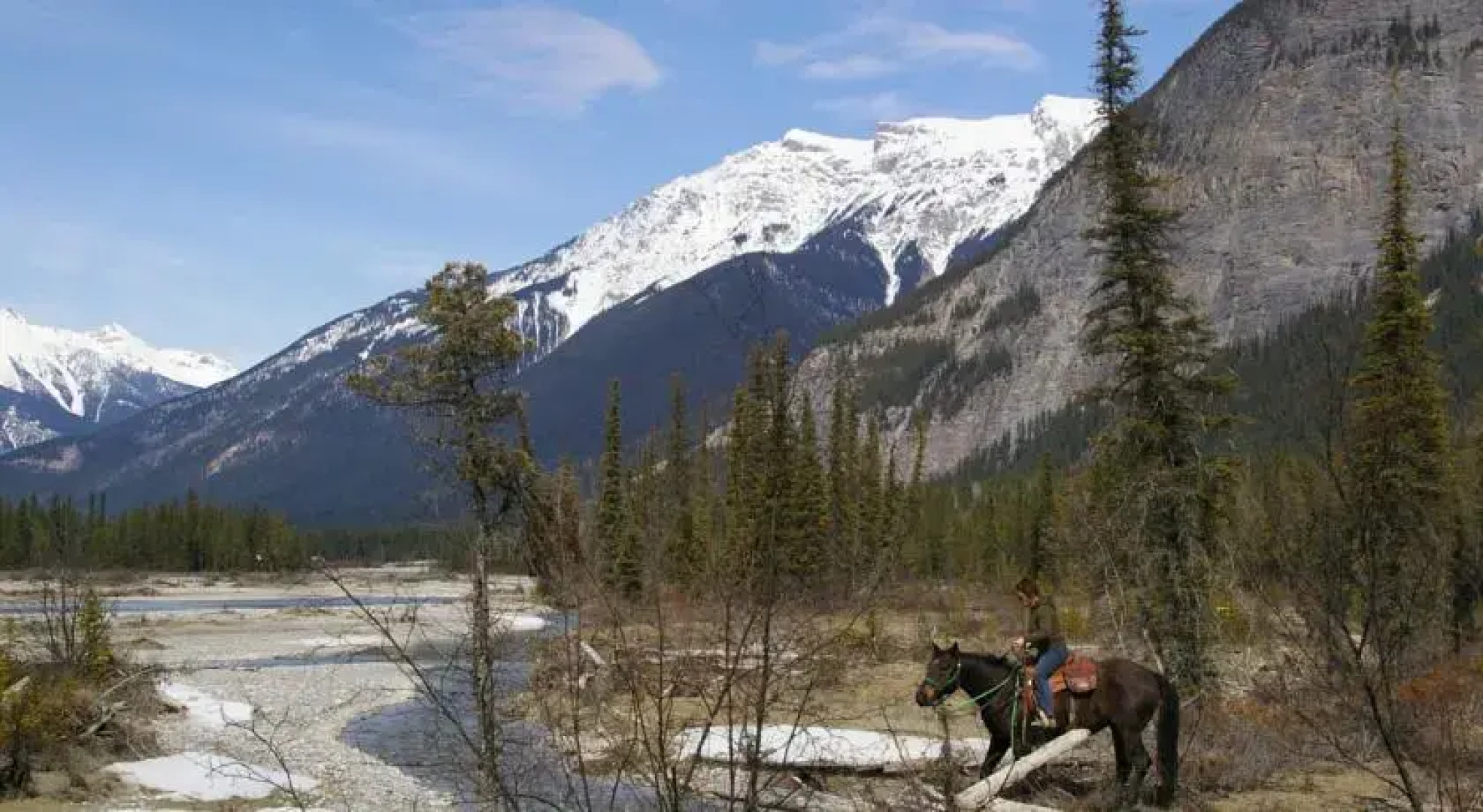Bear Corner Adventures Bed & Bale