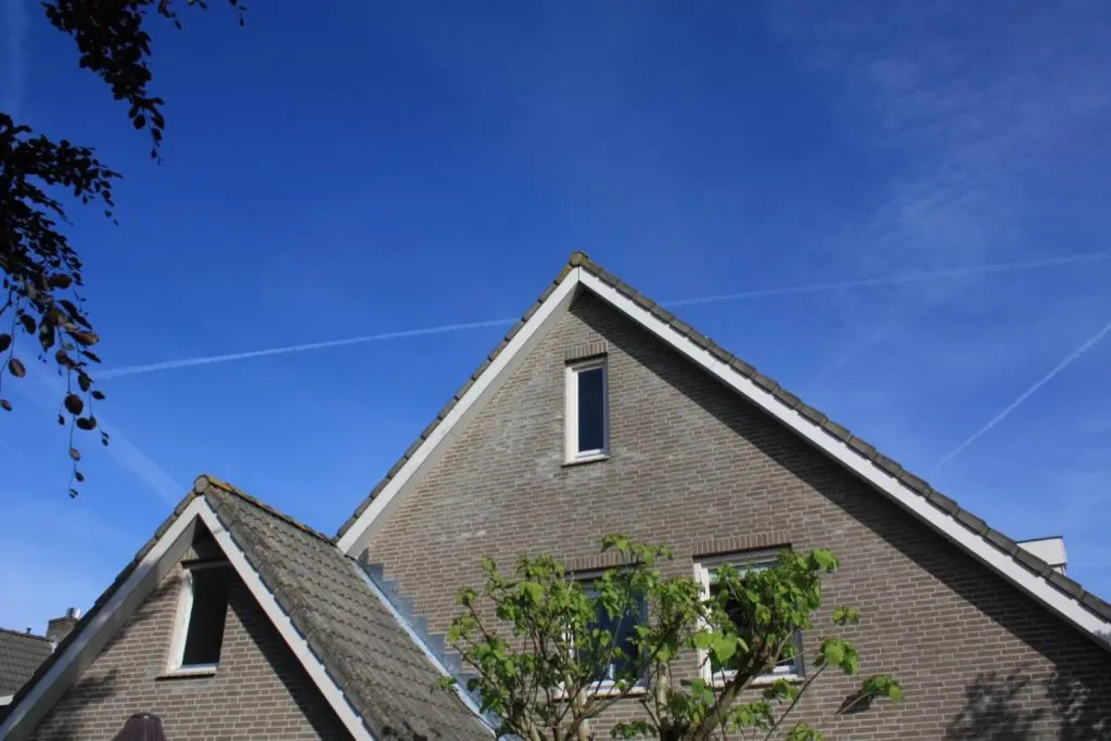 Magnolia appartement