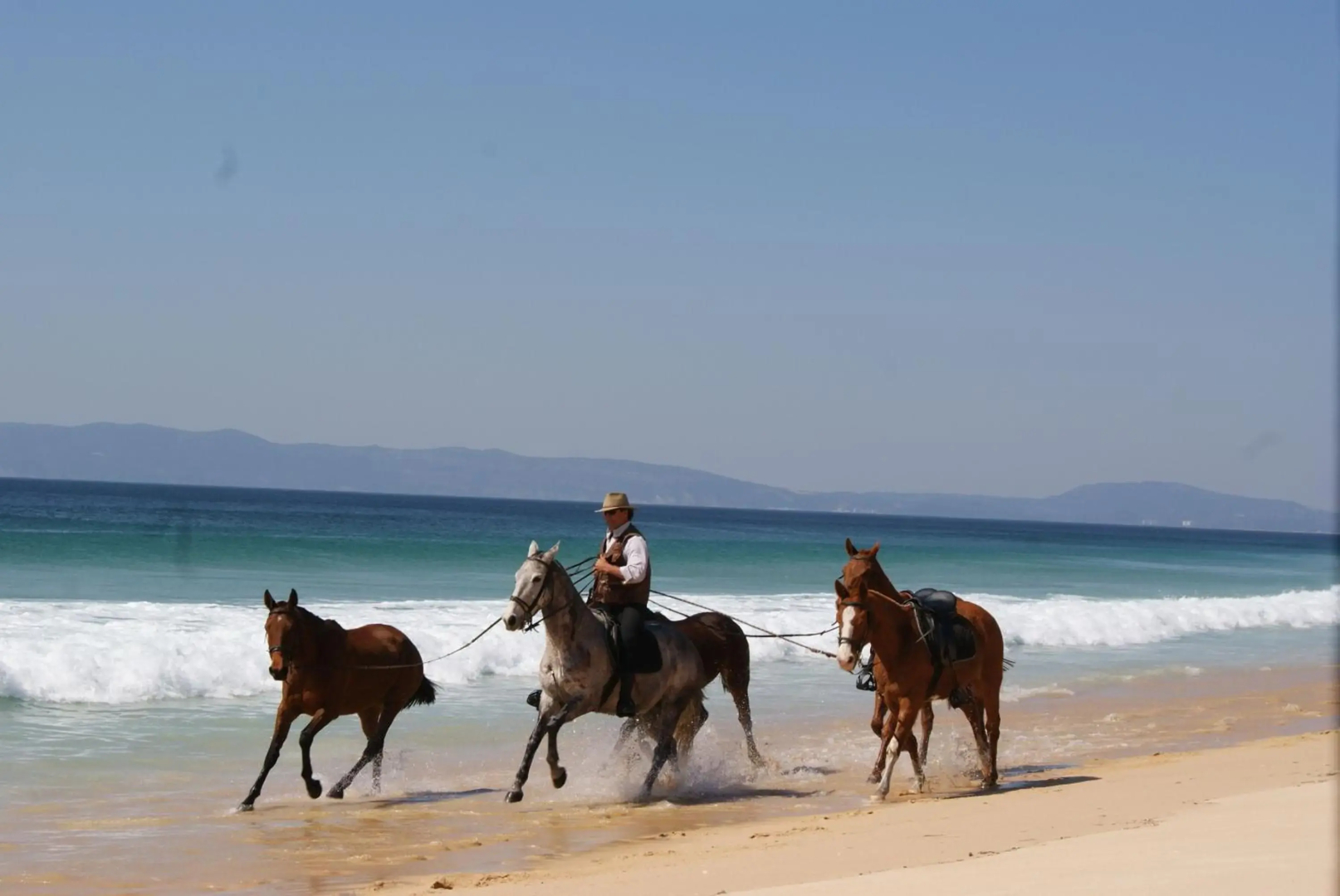 Villa Sequoia - Beach and Lake Private Holidays