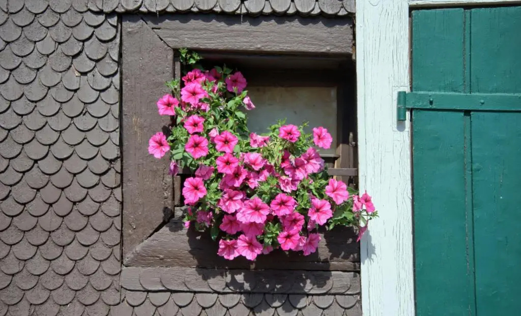 Gasthaus Pension Zum Löwen