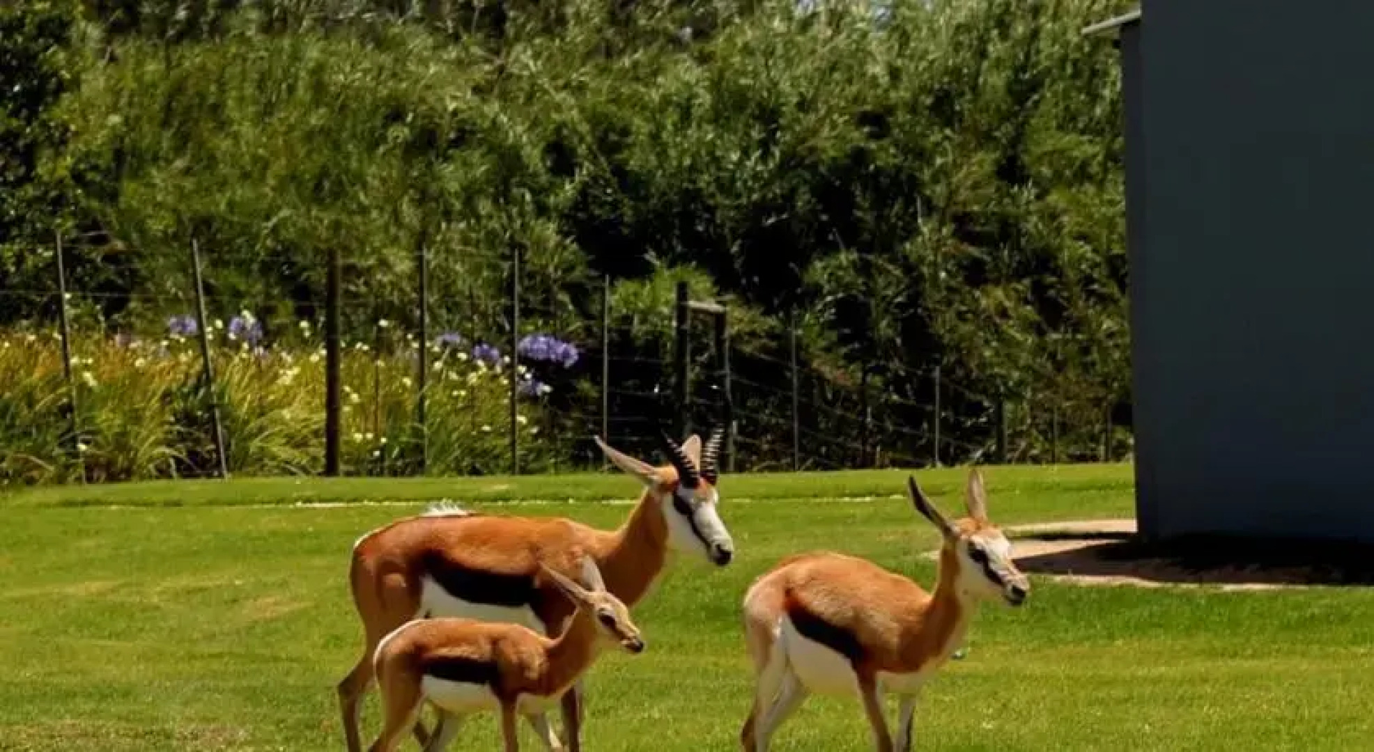 CHRIS~ELLE Selfcatering