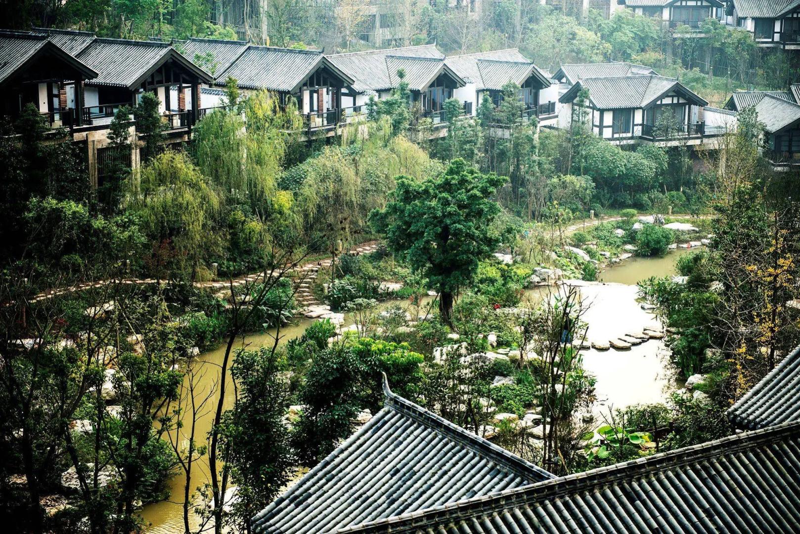 Chongqing Beibei Banyan Tree