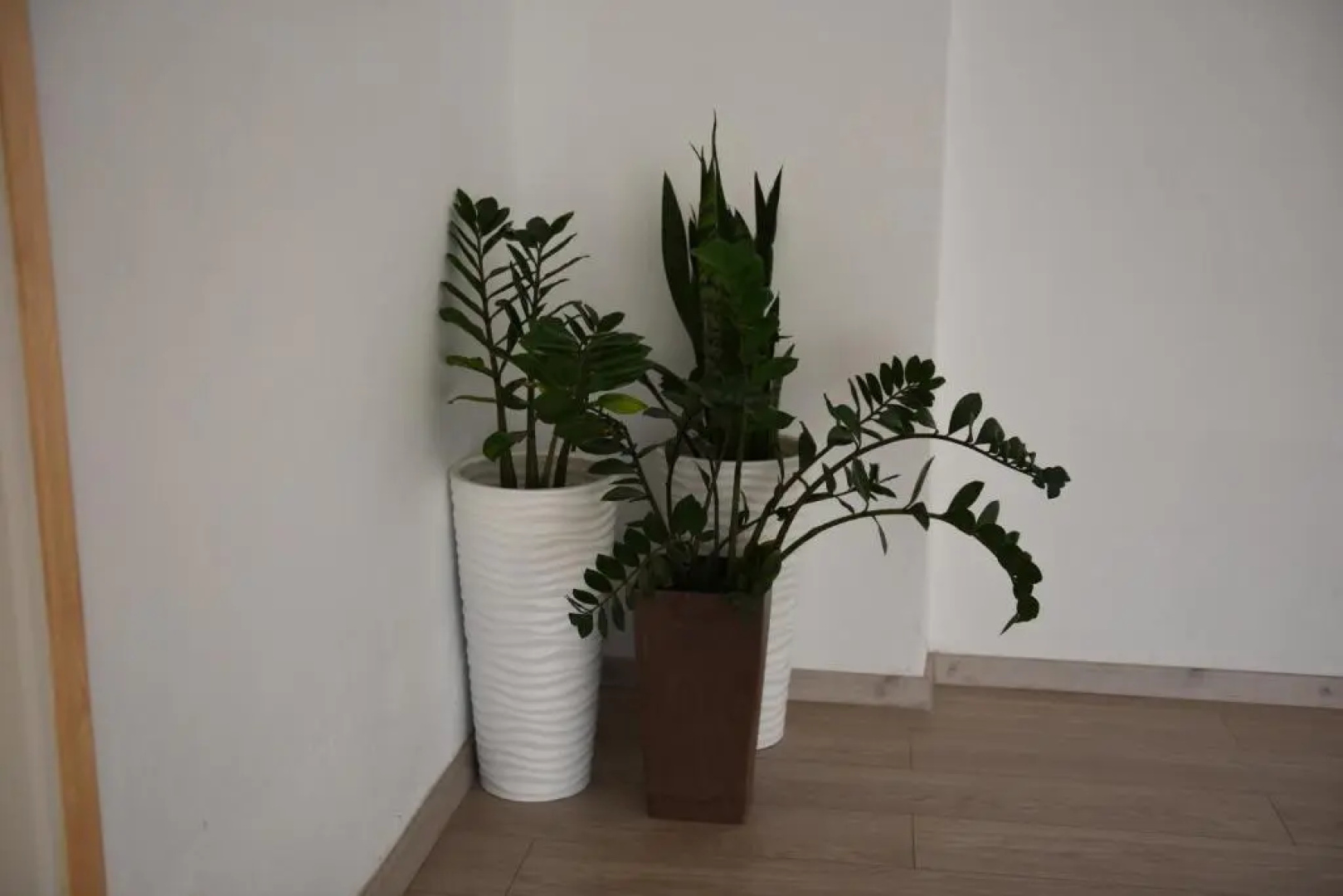 Antonis Studios & Apartments