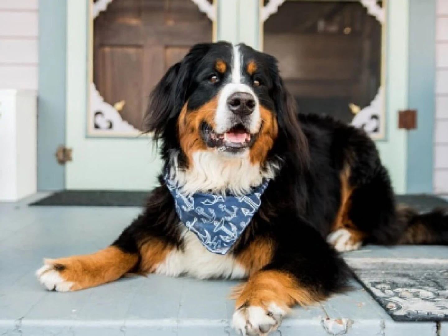 The Inn At Five Points