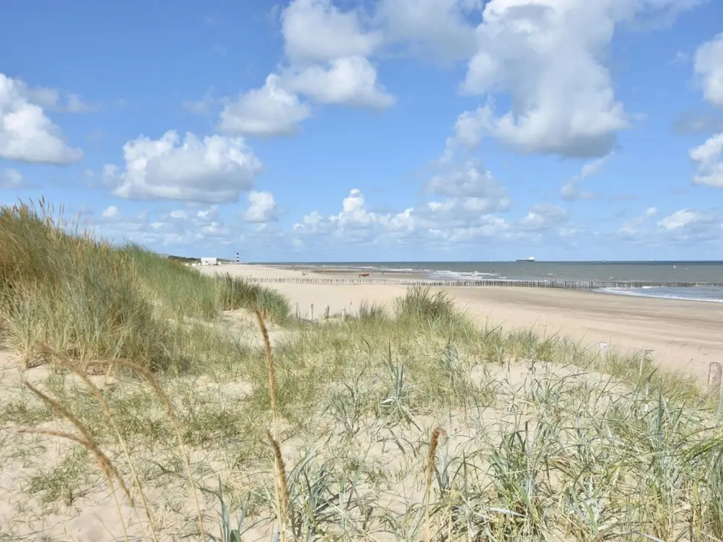 Quiet Holiday Home in Nieuwvliet With a Lounge Area by the sea