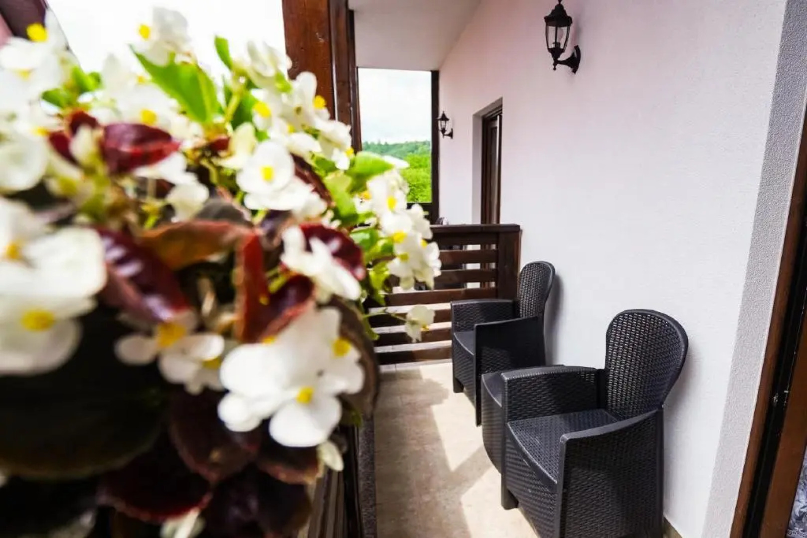 Pensiunea Trei Lalele