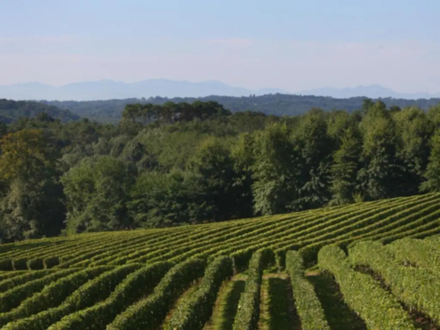 Gîte Bénesse-lès-Dax, 3 pièces, 4 personnes - FR-1-360-47