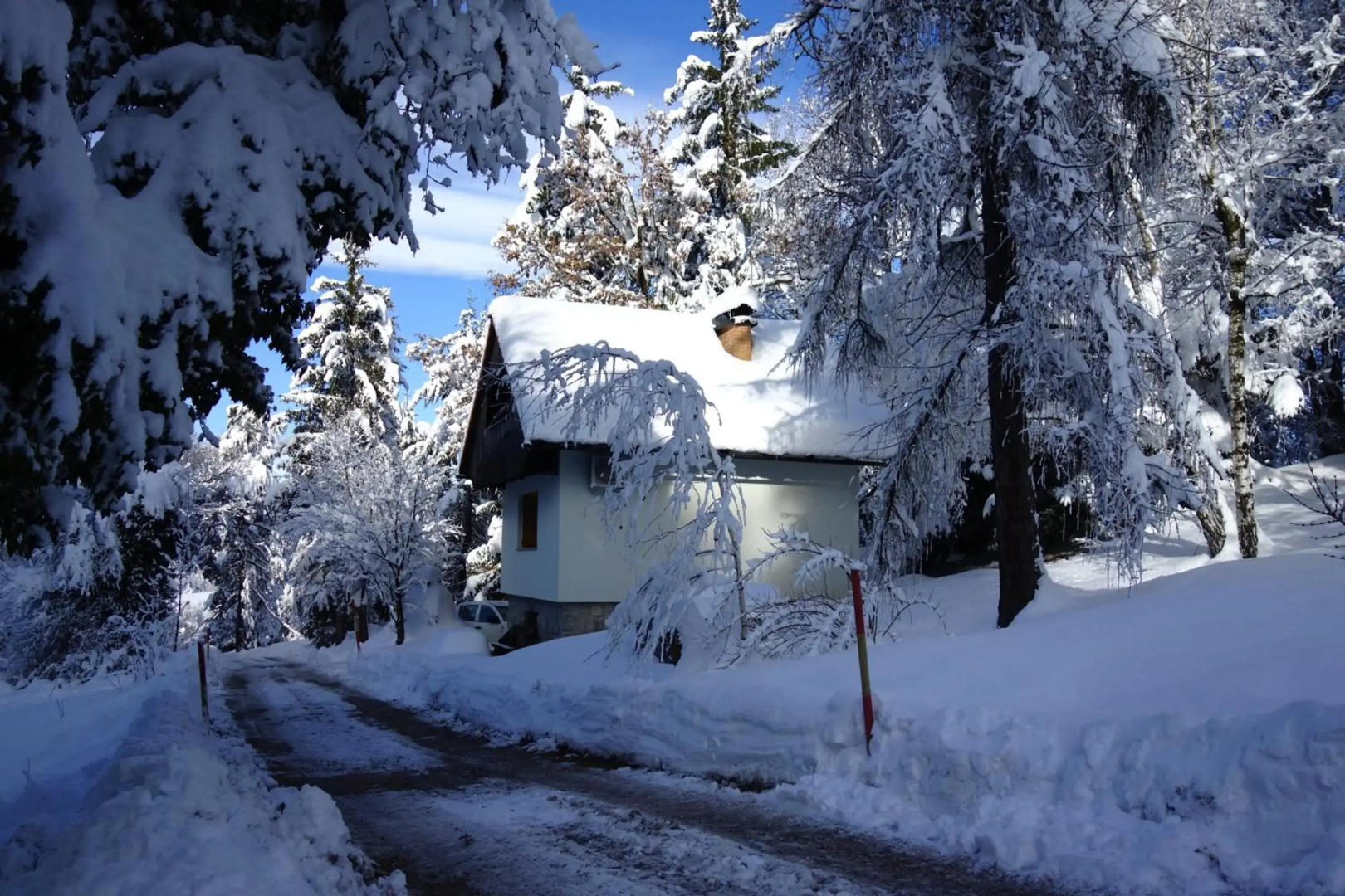 Sweet Stay Forest House