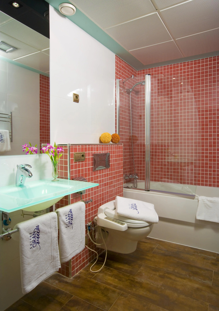 Suites Gran Via 44 Apartahotel