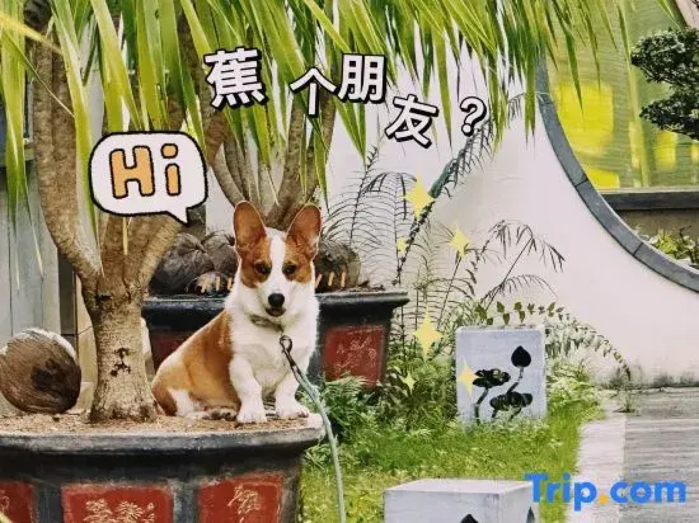 Wuzhishan Yisuli Theme Hotel