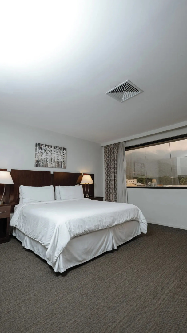 Hotel Los Andes