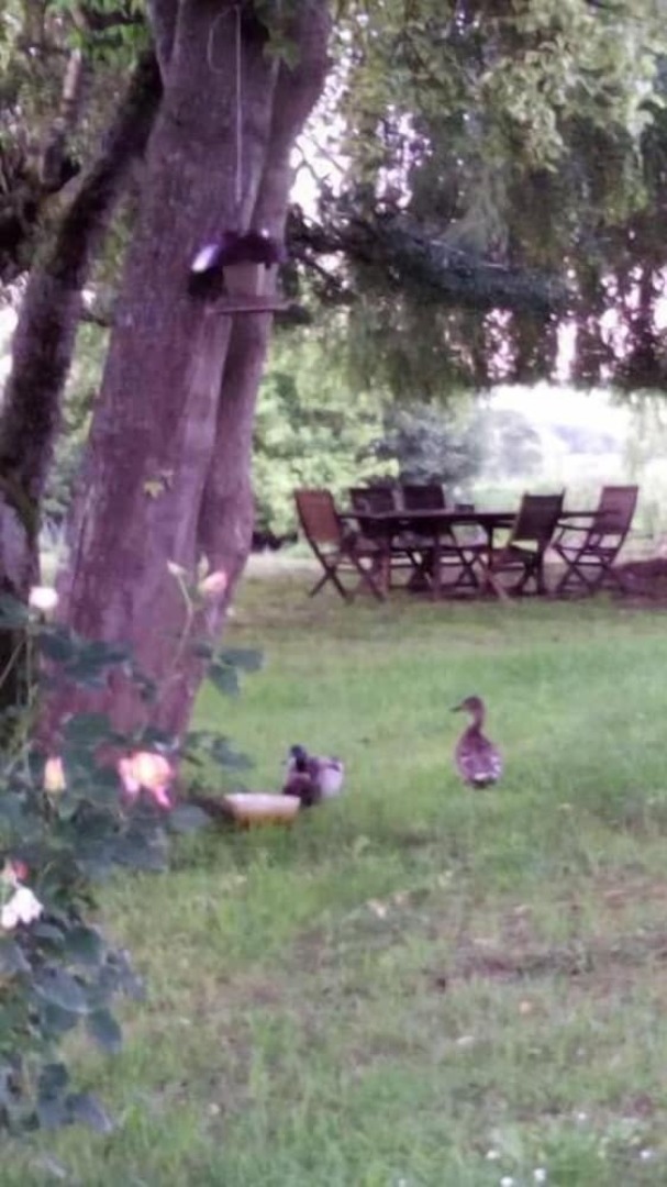 Havre de paix au bord de l'Eure