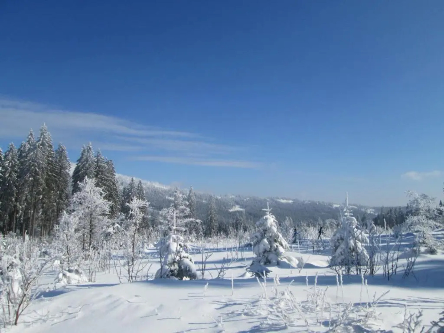 Apartments Josef Seitz