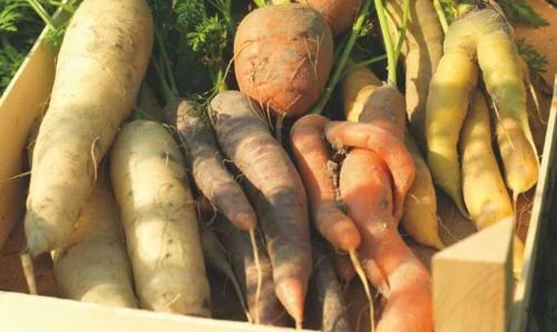 Fårevejle Golf Hotel