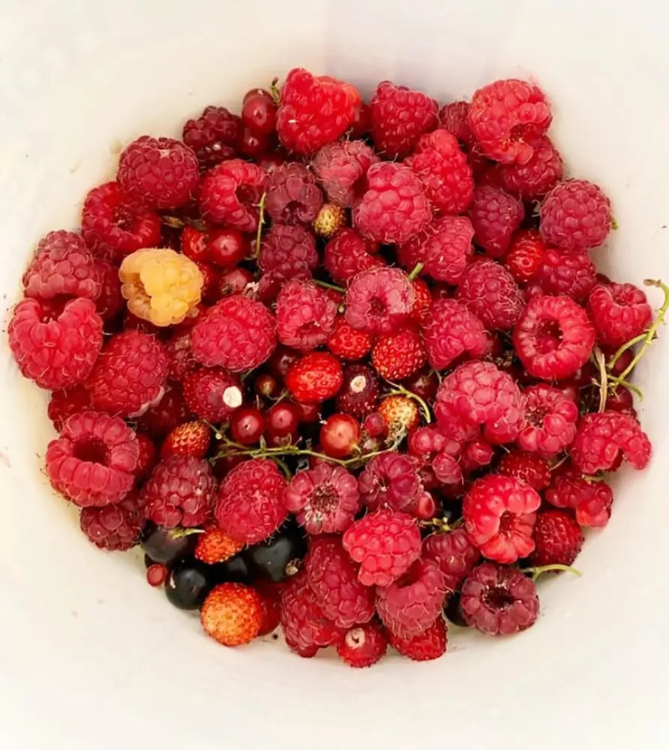 Du Cote De Chez Sam La Marguetiere