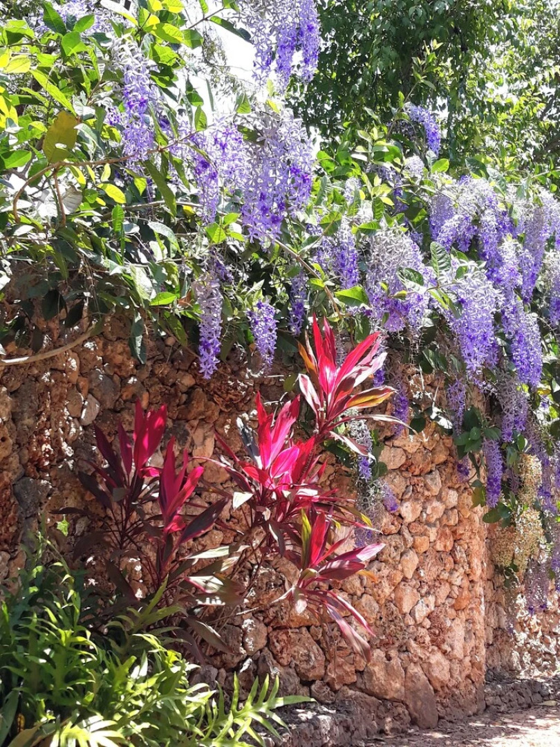 Tiwani Sunset, a Little Piece of Eden