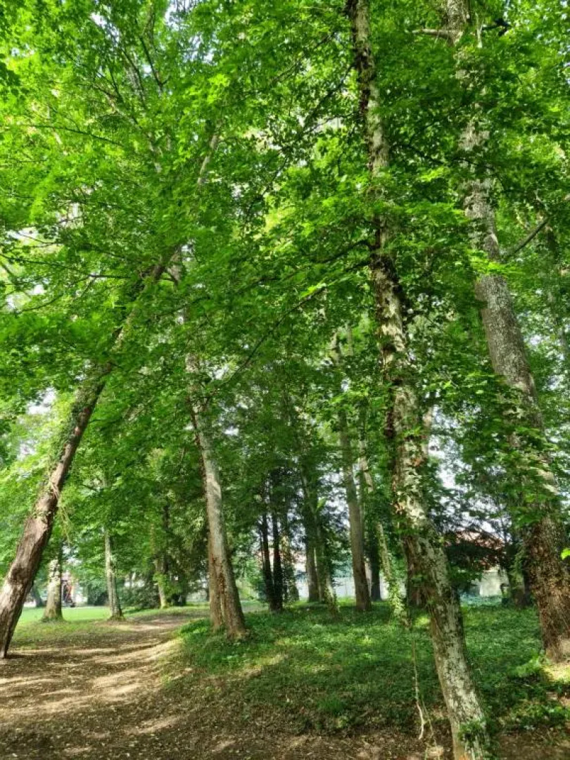 Maison D'hotes Au Cœur Des Lacs (Adults Only)