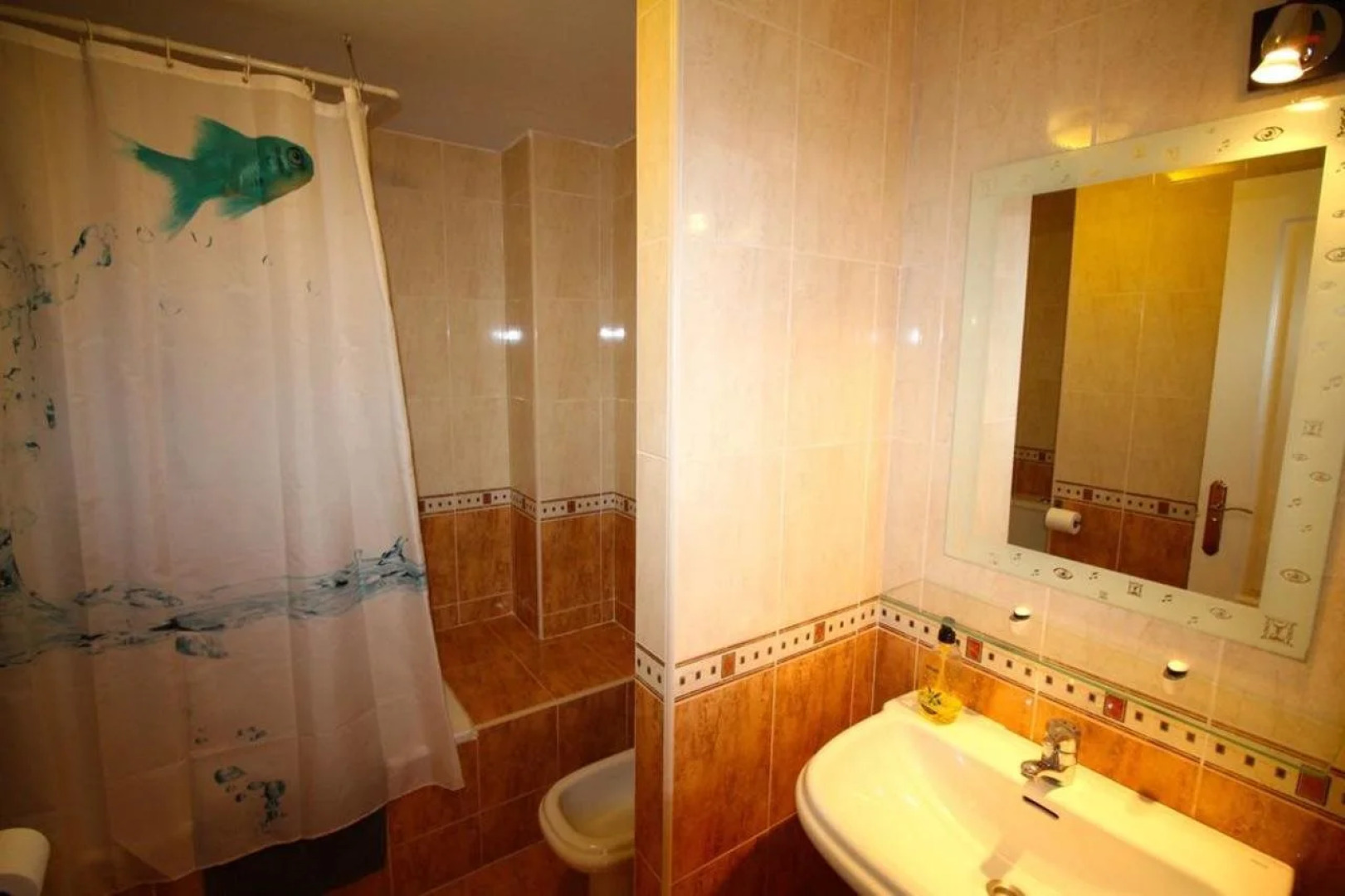 Apartamento Campello