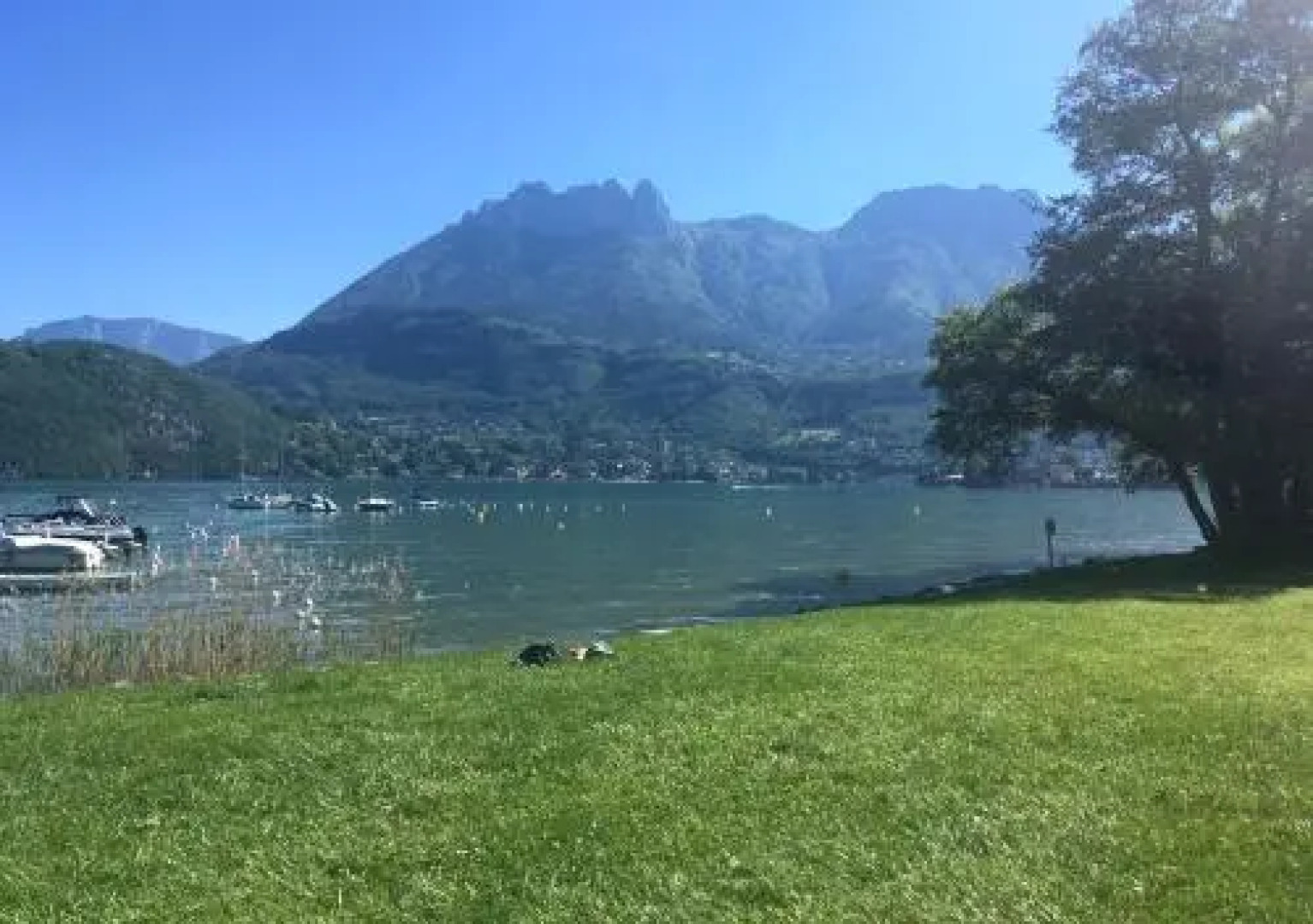 Art_Booking . . . by Benoit_B