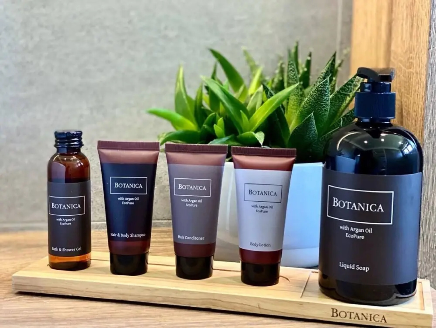 Villa in Doksy With Barbecue