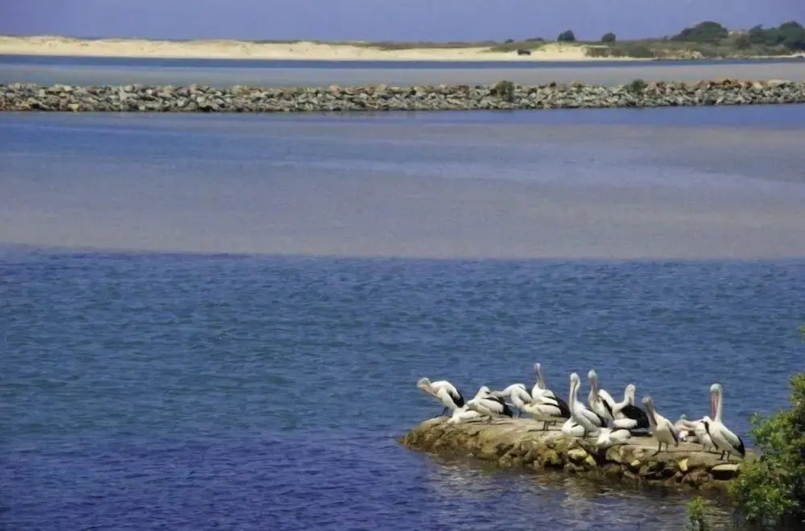 The Happy Pelican Harrington Hotel