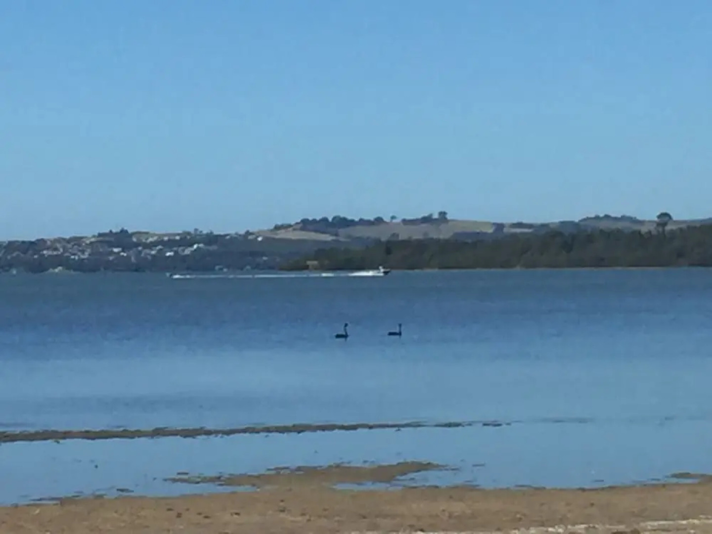 Lakeside Manor 2 Private Bedrooms with amenities