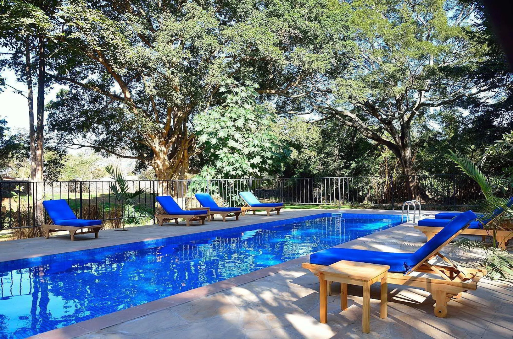 Green Hills of Africa