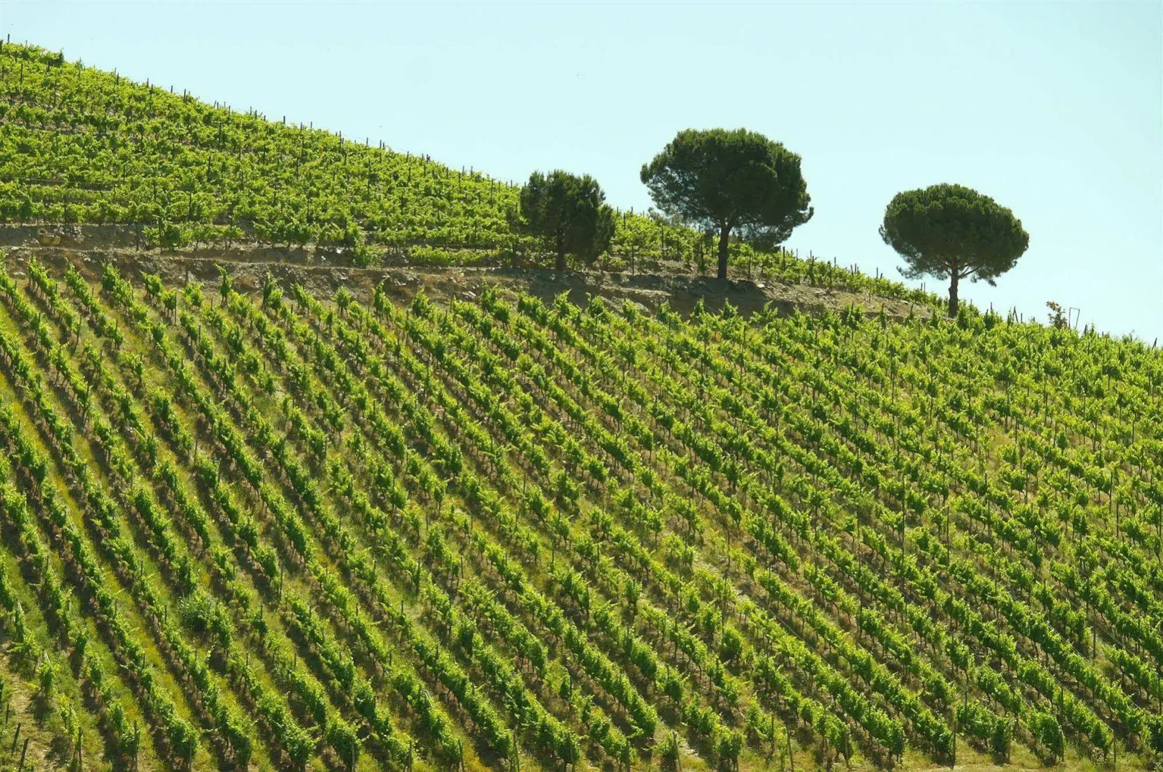 Quinta Nova Winery House - Relais & Châteaux