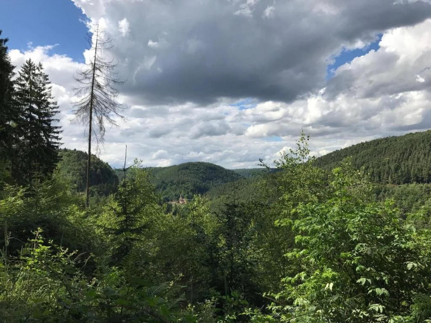 Schlossberg Landgasthof